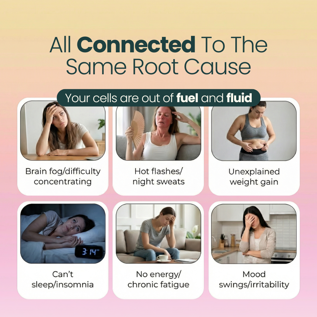 Creatine Hydration Powder